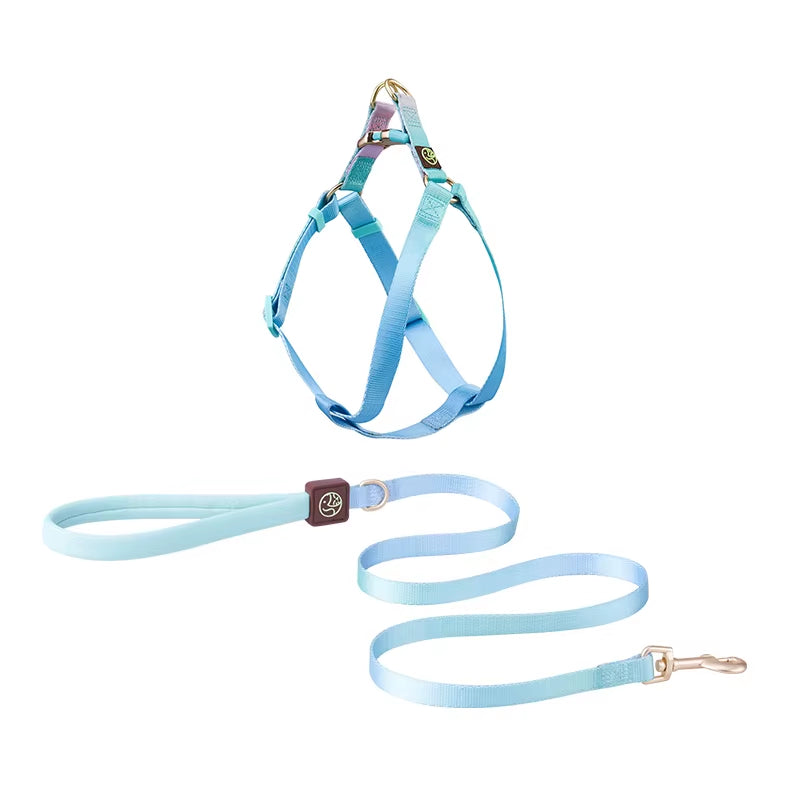Collar and Leash Set with No-Pull Harness for Small Dogs and puppies