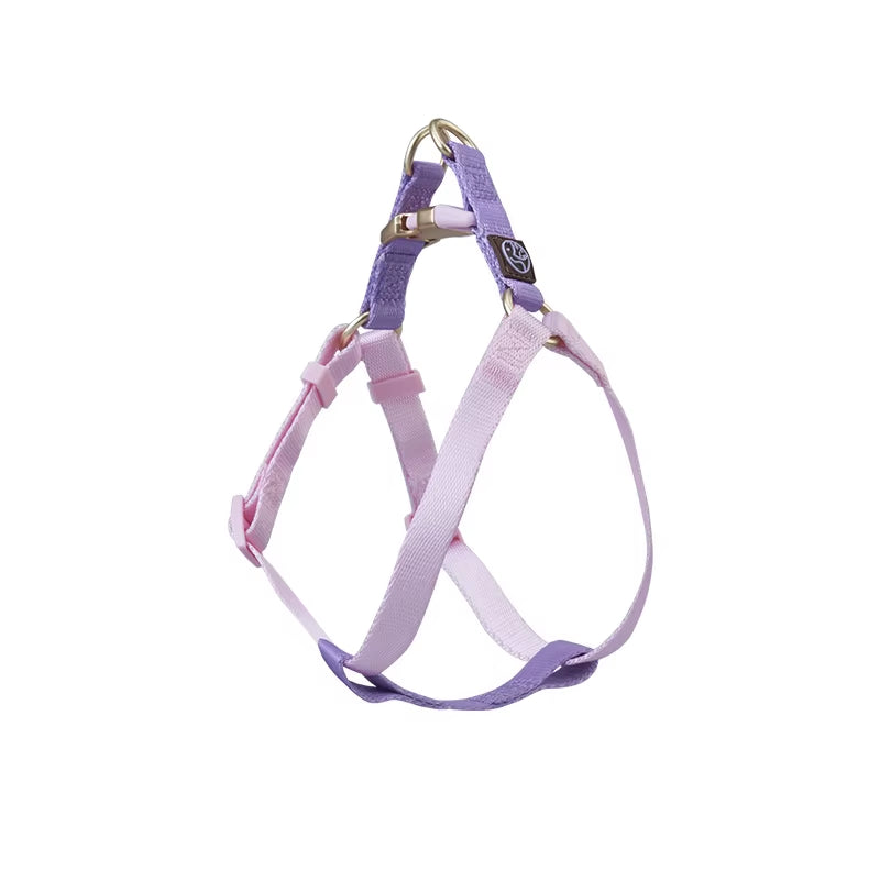 Collar and Leash Set with No-Pull Harness for Small Dogs and puppies