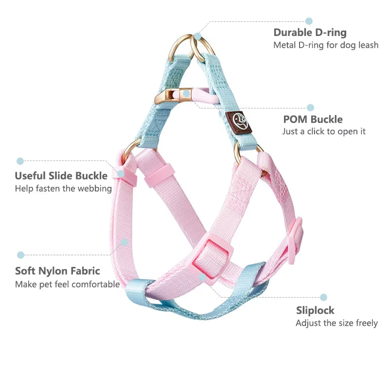 Collar and Leash Set with No-Pull Harness for Small Dogs and puppies