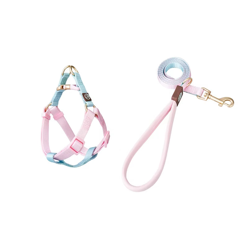 Collar and Leash Set with No-Pull Harness for Small Dogs and puppies