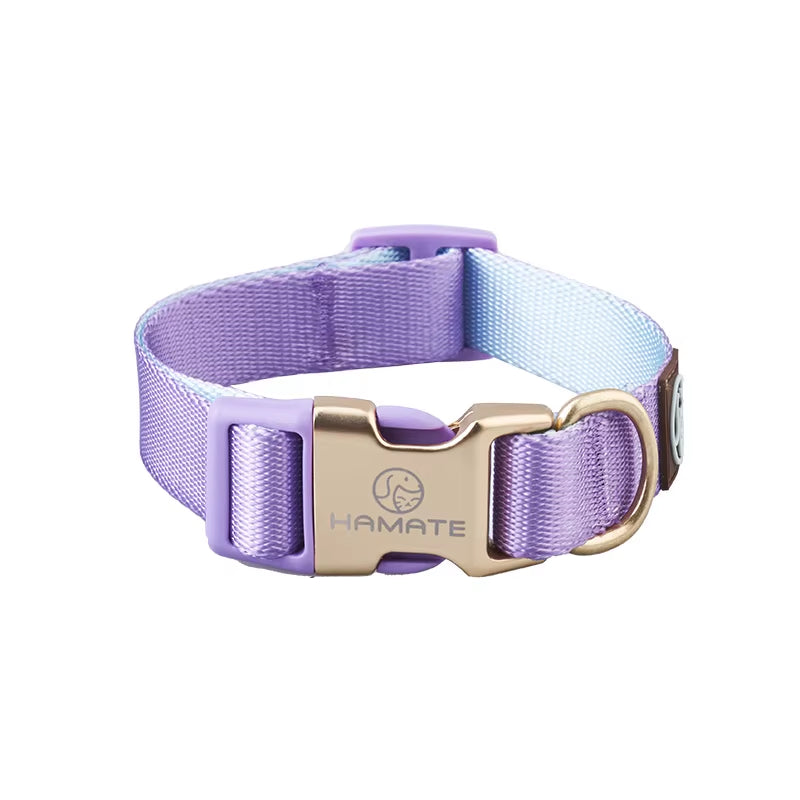 Collar and Leash Set with No-Pull Harness for Small Dogs and puppies