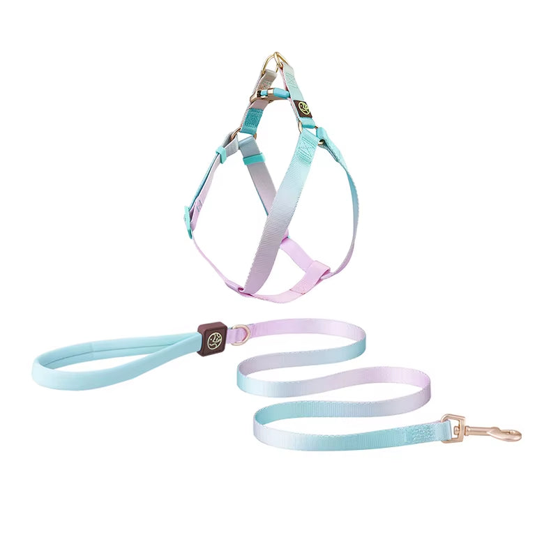 Collar and Leash Set with No-Pull Harness for Small Dogs and puppies
