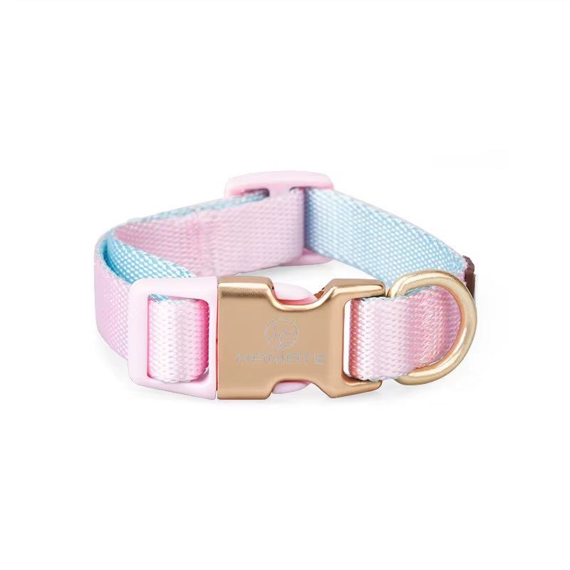 Collar and Leash Set with No-Pull Harness for Small Dogs and puppies