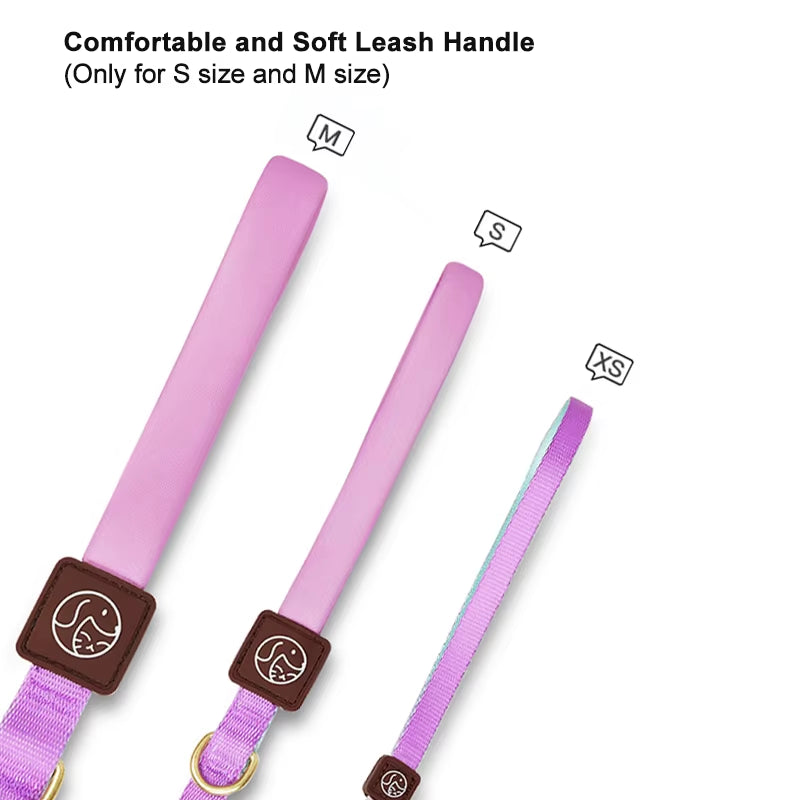 Collar and Leash Set with No-Pull Harness for Small Dogs and puppies