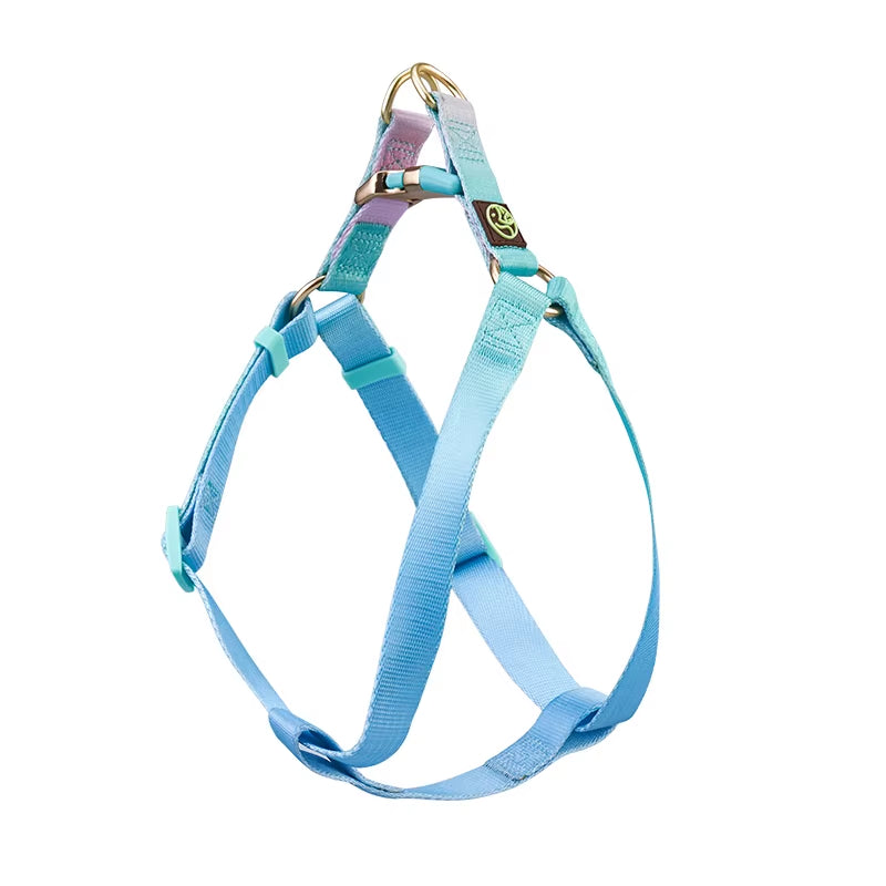 Collar and Leash Set with No-Pull Harness for Small Dogs and puppies