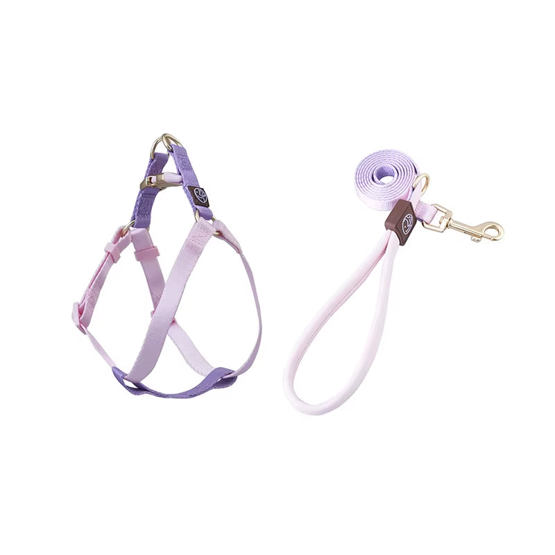 Collar and Leash Set with No-Pull Harness for Small Dogs and puppies