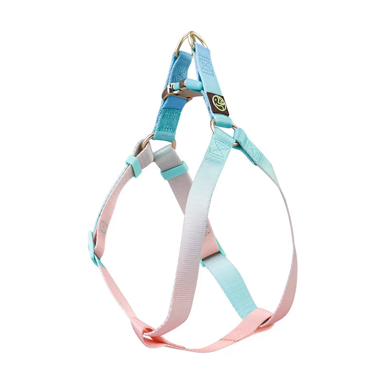 Collar and Leash Set with No-Pull Harness for Small Dogs and puppies