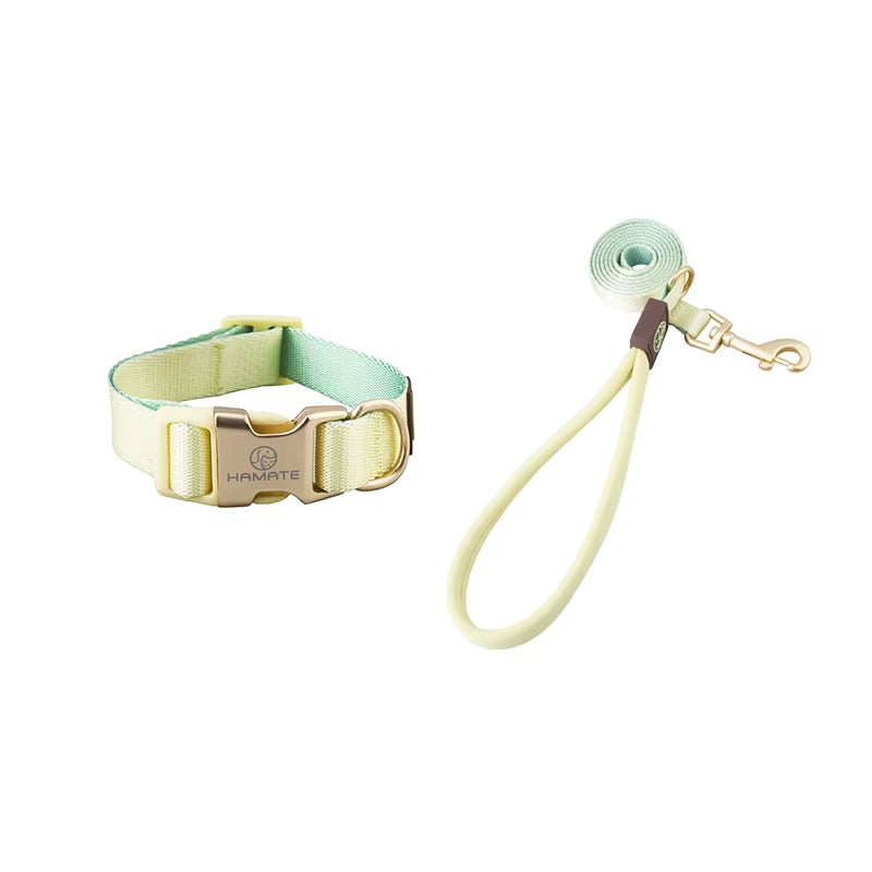 Collar and Leash Set with No-Pull Harness for Small Dogs and puppies