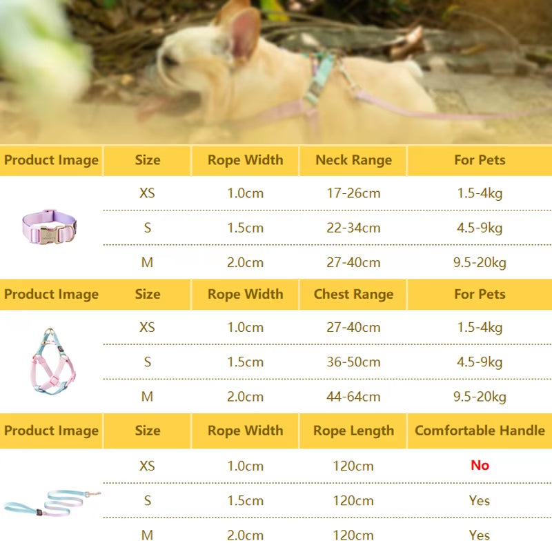 Collar and Leash Set with No-Pull Harness for Small Dogs and puppies