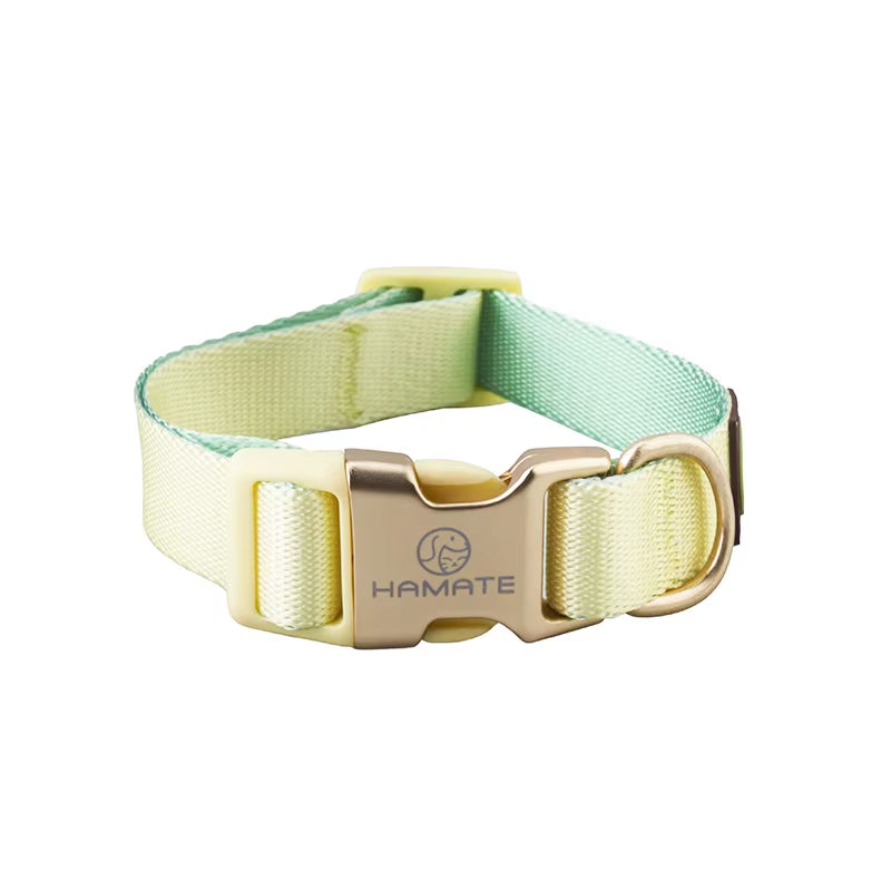 Collar and Leash Set with No-Pull Harness for Small Dogs and puppies