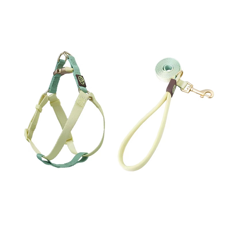 Collar and Leash Set with No-Pull Harness for Small Dogs and puppies