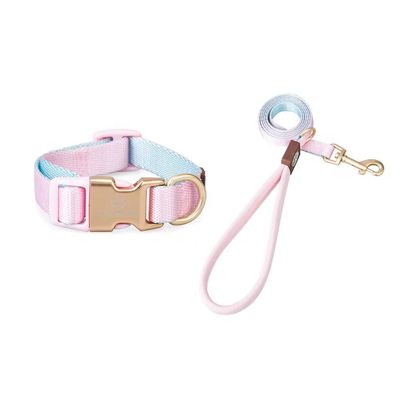 Collar and Leash Set with No-Pull Harness for Small Dogs and puppies