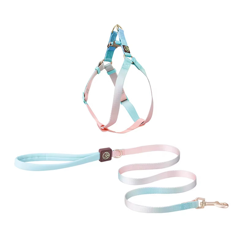 Collar and Leash Set with No-Pull Harness for Small Dogs and puppies