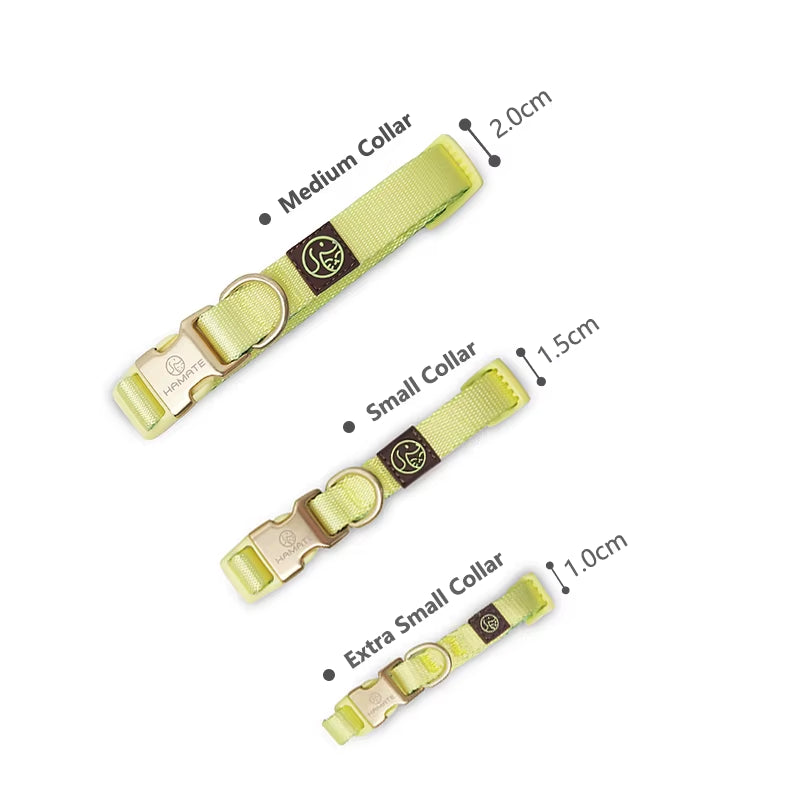 Collar and Leash Set with No-Pull Harness for Small Dogs and puppies