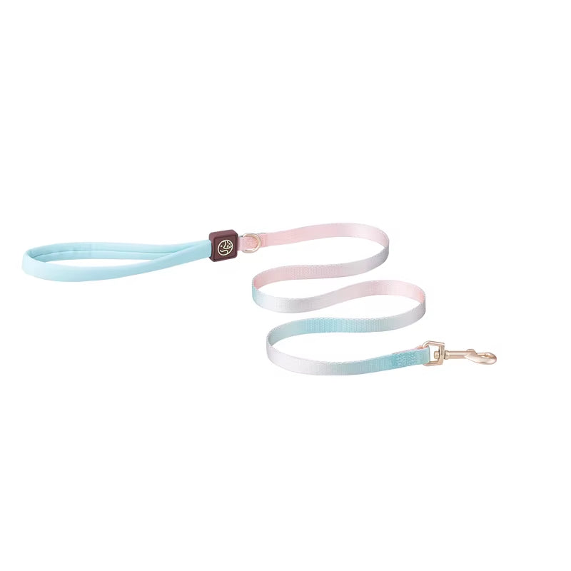 Collar and Leash Set with No-Pull Harness for Small Dogs and puppies