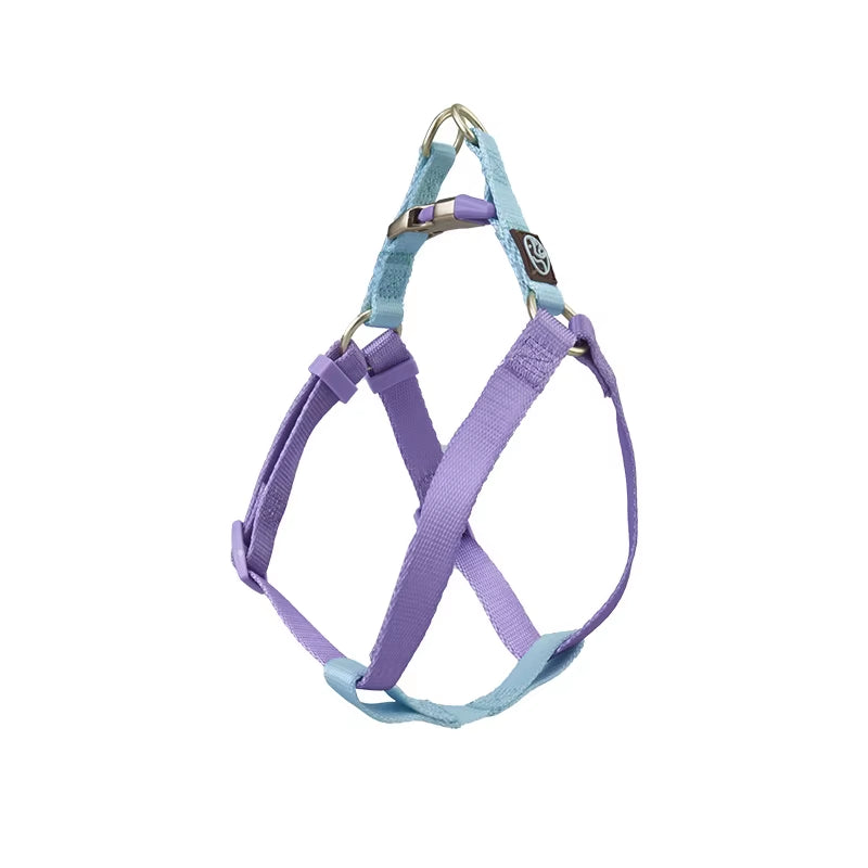 Collar and Leash Set with No-Pull Harness for Small Dogs and puppies