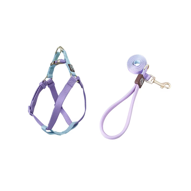 Collar and Leash Set with No-Pull Harness for Small Dogs and puppies