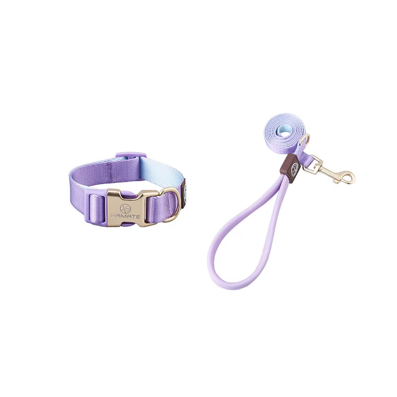 Collar and Leash Set with No-Pull Harness for Small Dogs and puppies