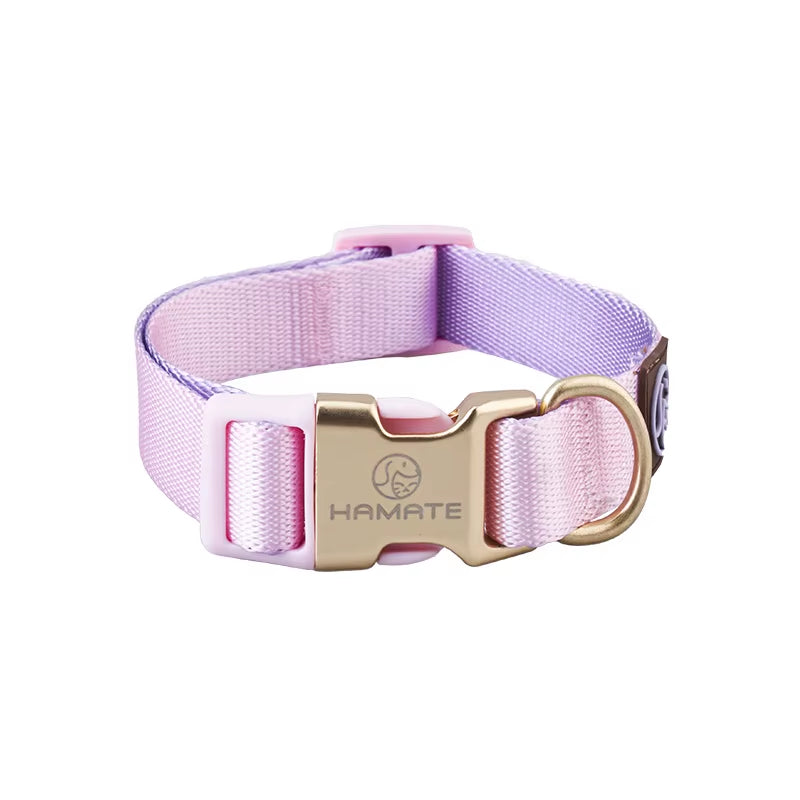 Collar and Leash Set with No-Pull Harness for Small Dogs and puppies